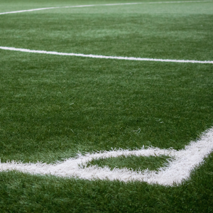 View All Sports Seed